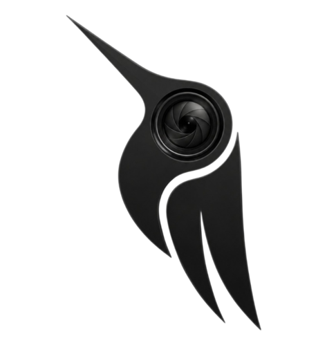 Zera Studio logo